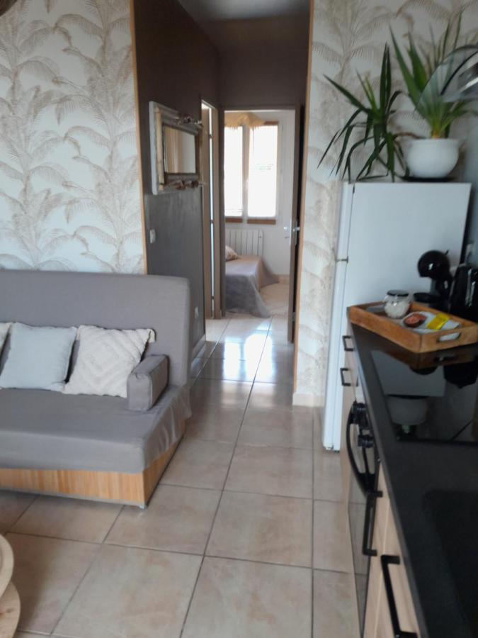 Appartement T1 Plain Pied Le Cannet-des-Maures Exterior foto